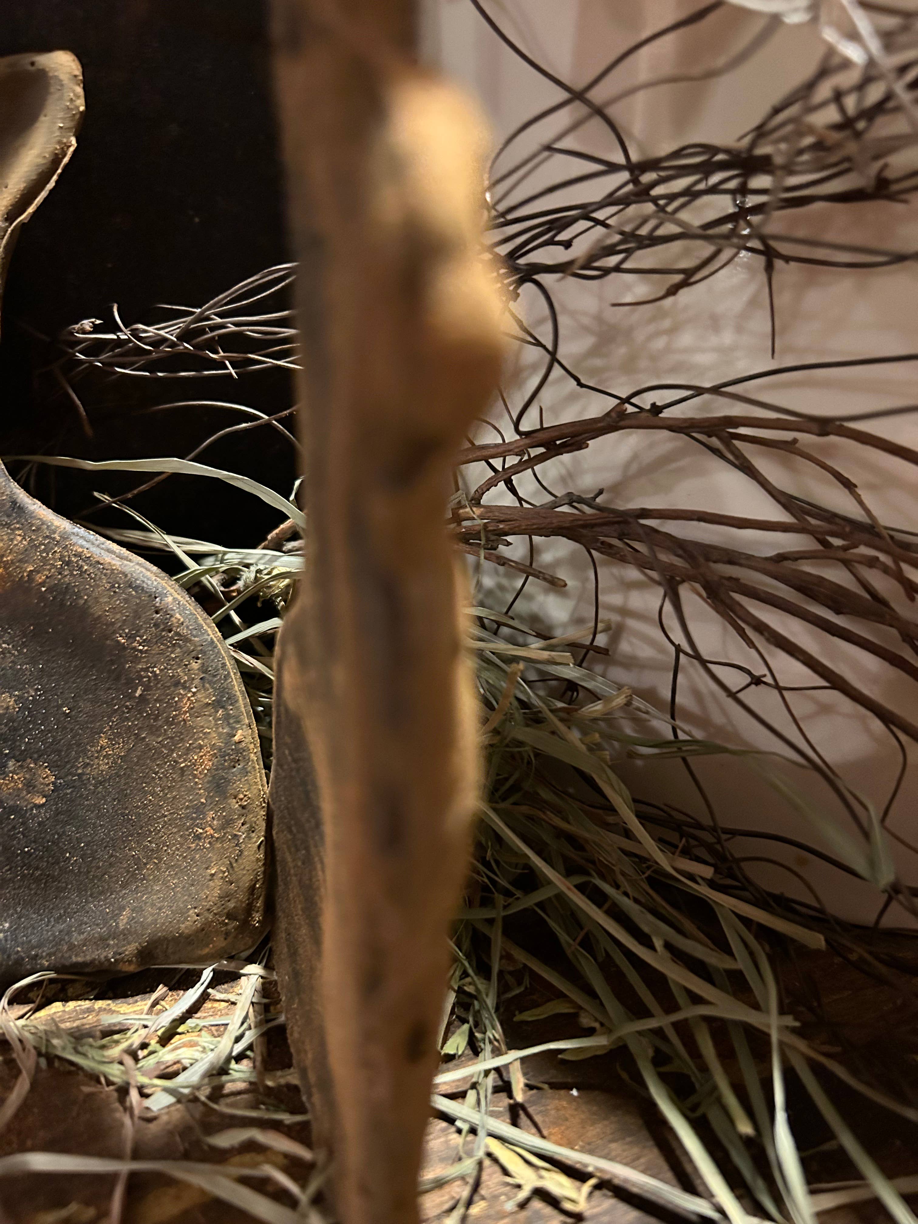 The Cranberry Cornstalk Co. - Wholesale Decorative Figurine - Peter Prim sitter4