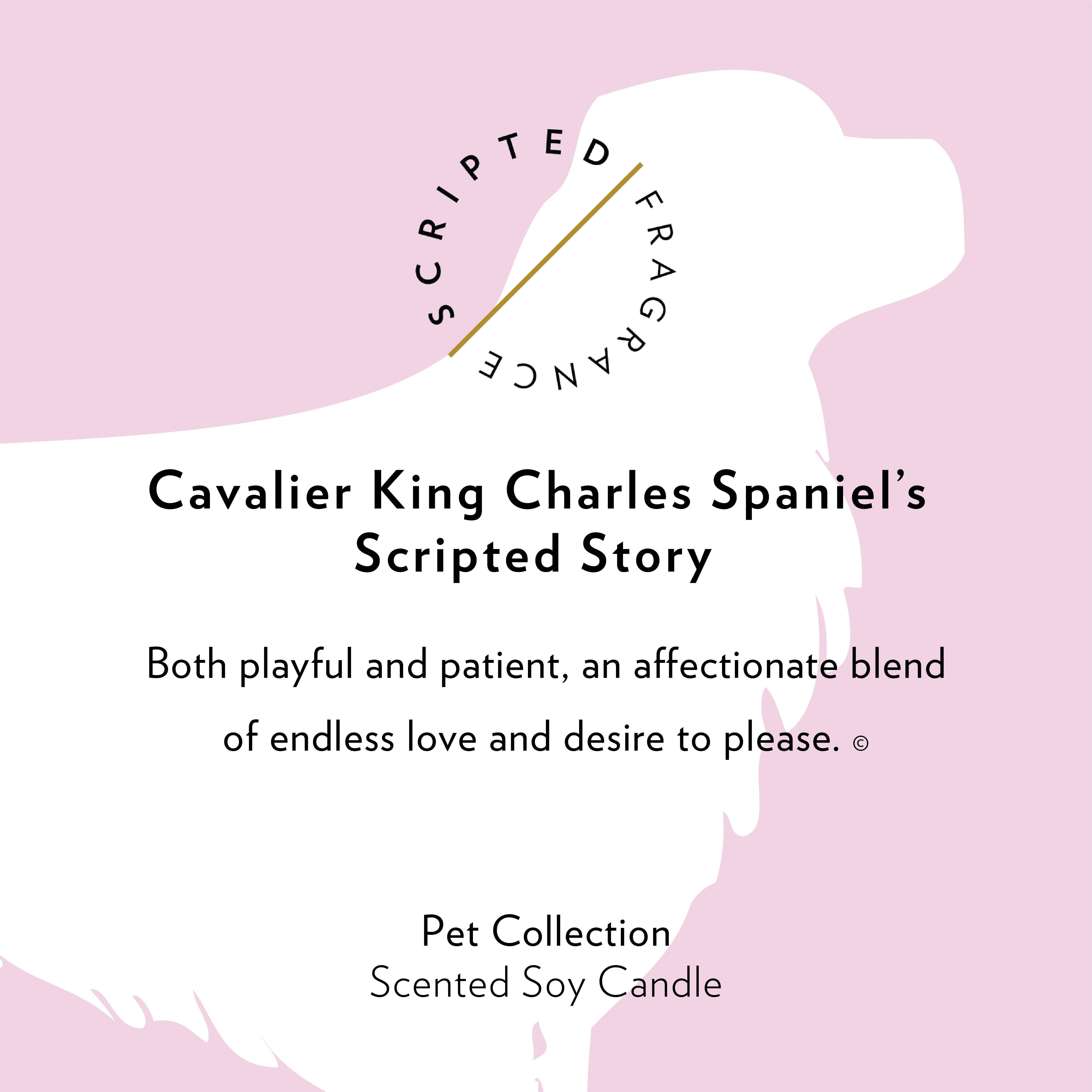 Scripted Fragrance - Wholesale Jar/Filled Candle - Cavalier King Charles Spaniel Dog Breed Soy Candle7