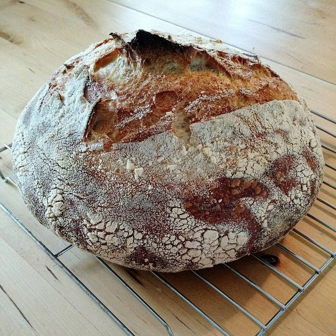 Potomac Chocolate - Wholesale Chocolate Bar - You Bread My Mind3