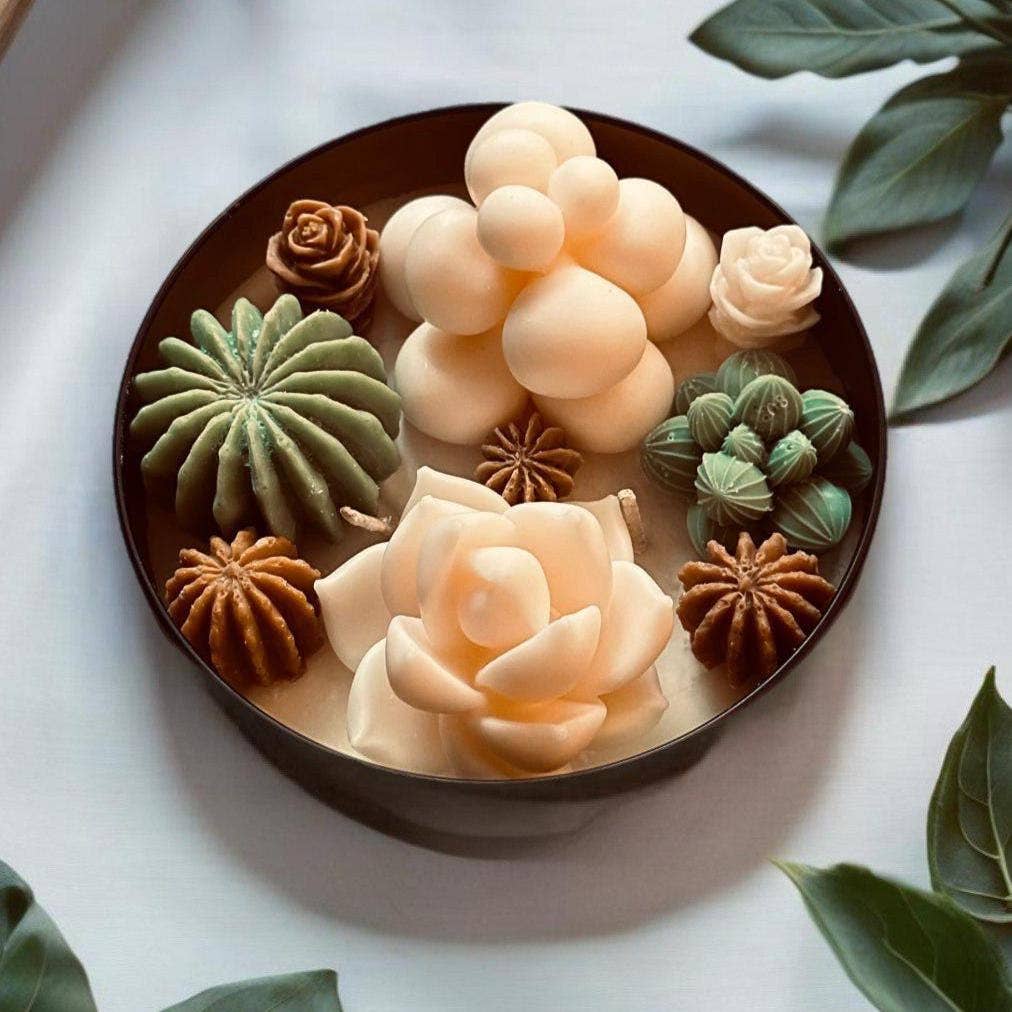 Karly’s Candles – Großhandel Geschenkkerze – Kaktus & Sukkulenten Sojakerze - Geschenk für Pflanzenliebhaber1