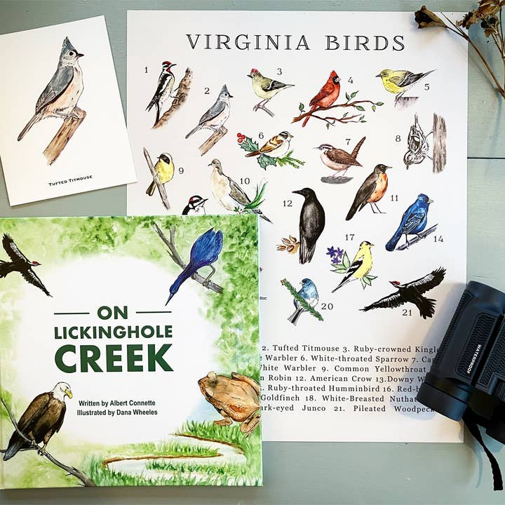 Deerhawk Art Studio - Wholesale Art Print - Virginia Birds Art Print