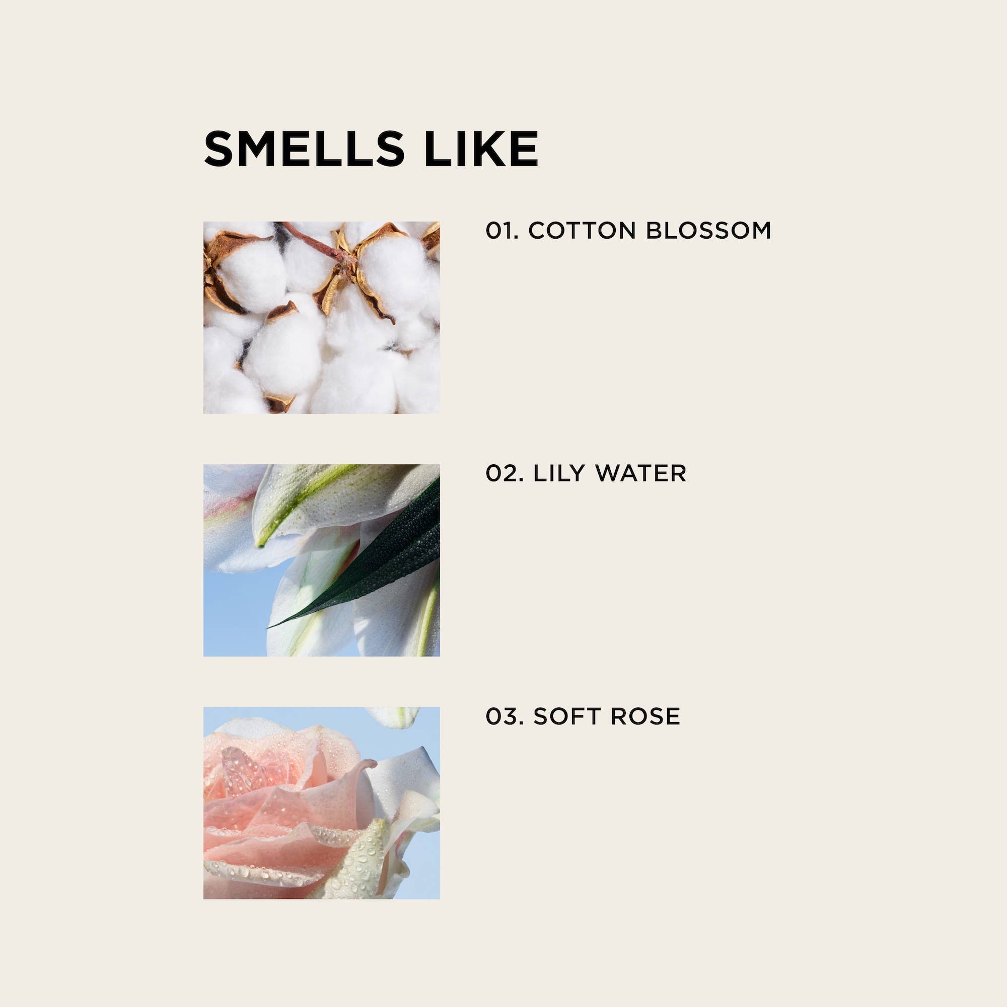 By Rosie Jane - Wholesale Perfume/Eau de Toilette - WHITE TEE body + hair perfume mist1