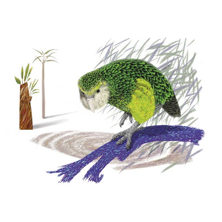 Hilsen Kort Kakapo I Rampelyset for engroshandel hos Natural Partners Limited