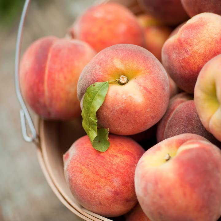 Bucket O' Peaches for wholesale by The Unrooted Orchid Candle Co.