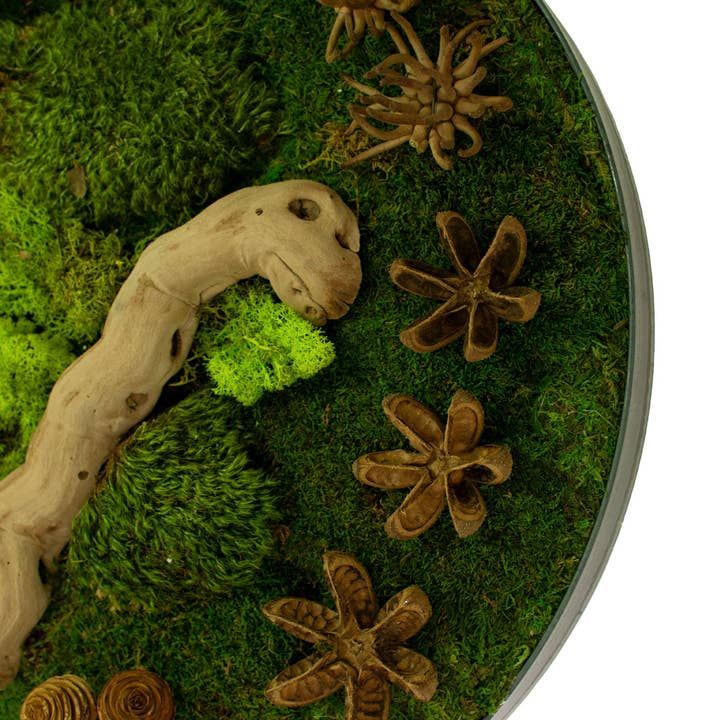 Lee Display - Wholesale Wall Accent - The Circular Moss & Succulent Wall Frame1