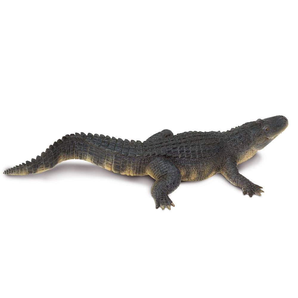 Safari Ltd. - Wholesale Figurine Toy - Kids - Wildlife Alligator Figurine Toy for Kids2