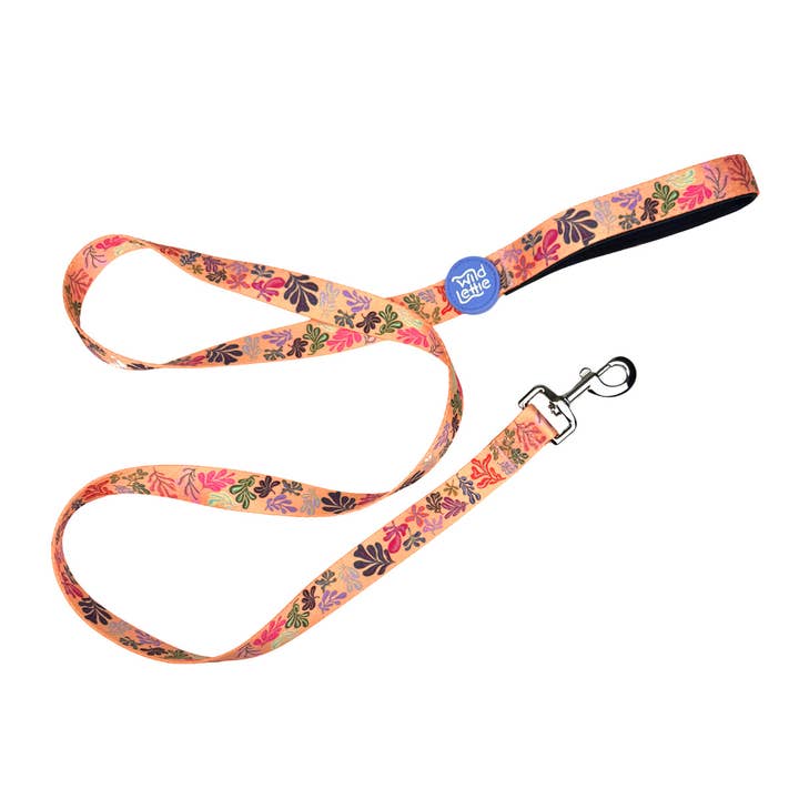 Fallfetti Leash for wholesale by Wild Lettie