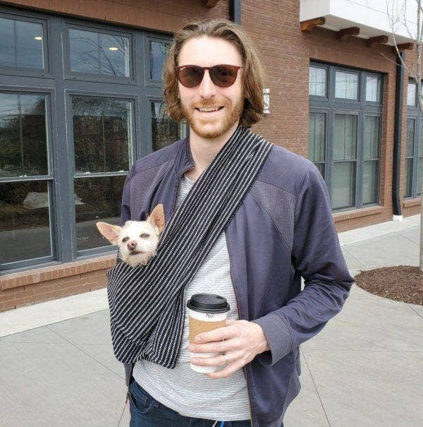 Walking Palm - Venta al por mayor Transportín - Gatos y perros - Eslinga para perros - Tejido a rayas