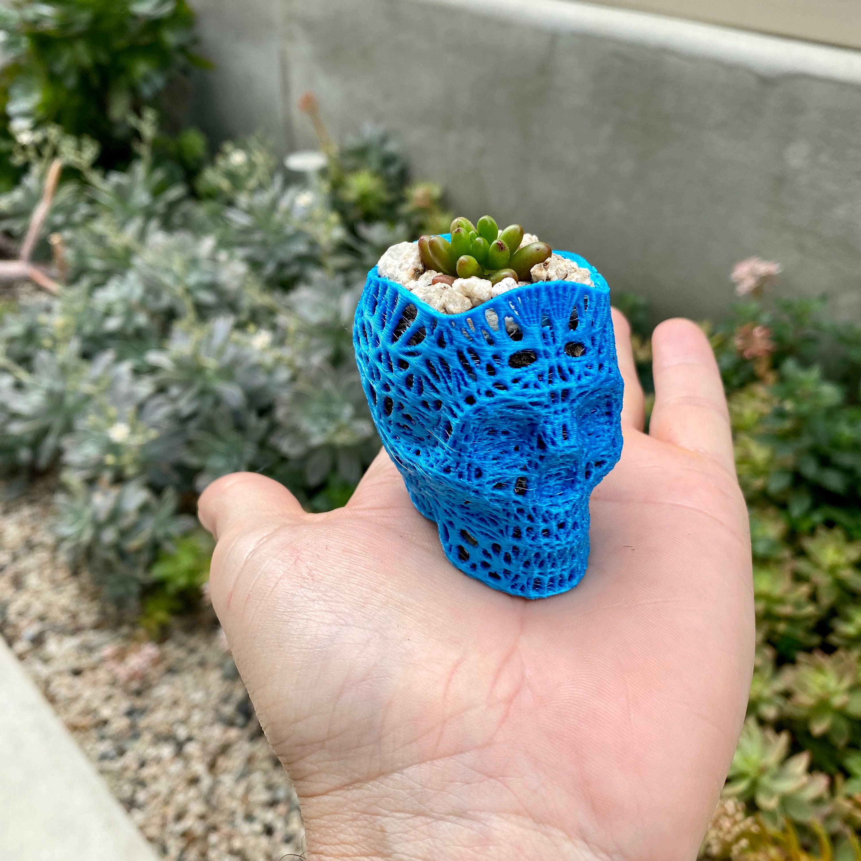 NumanPrints - Wholesale Plant Pot - 3D Printed Succulent Skull Planter Pot Small Indoor8