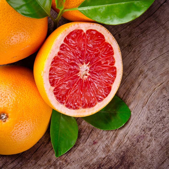 Grapefruit Supreme Incense Sticks for wholesale by Beaches of Tunisia, LLC