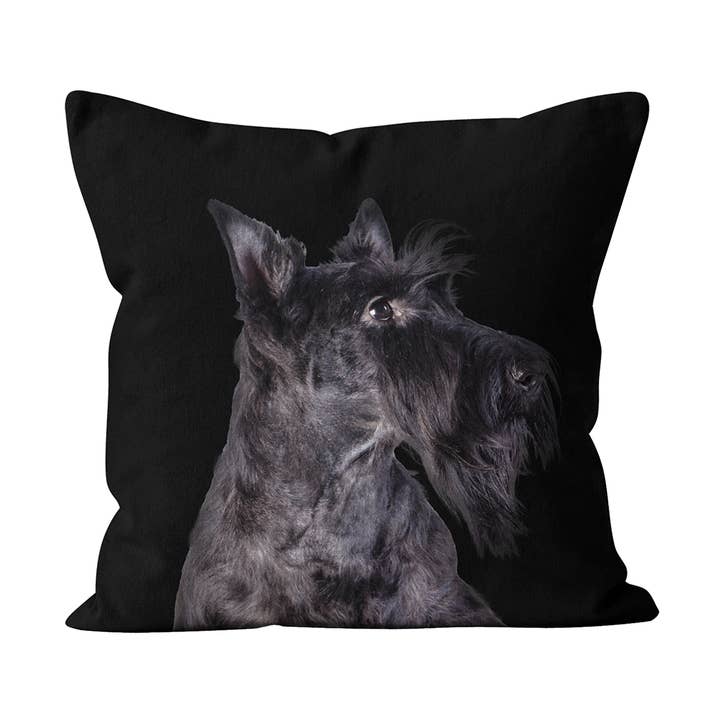 Almofada Freddy por atacado de Artpilo