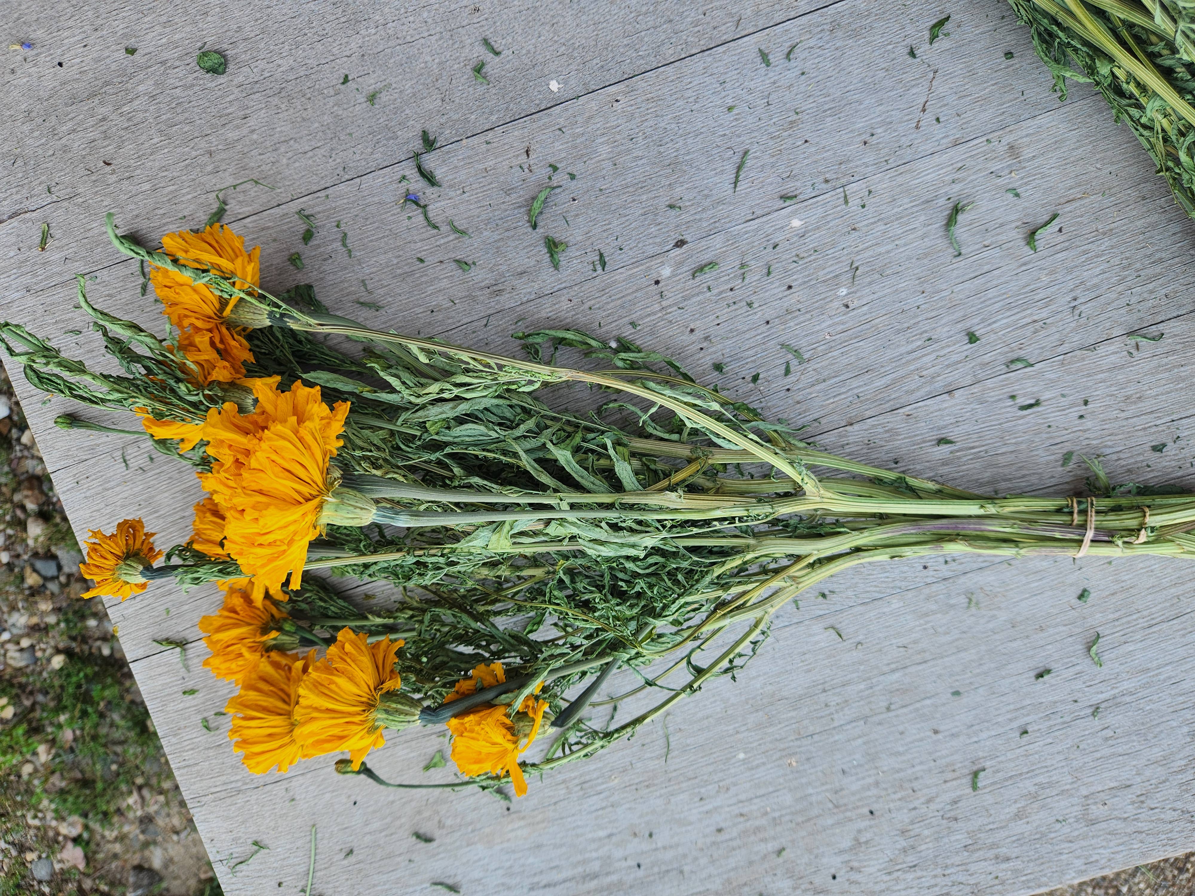 Alissas Flower Farm - Vente Fleur séchée/pressée - Soucis séchés1