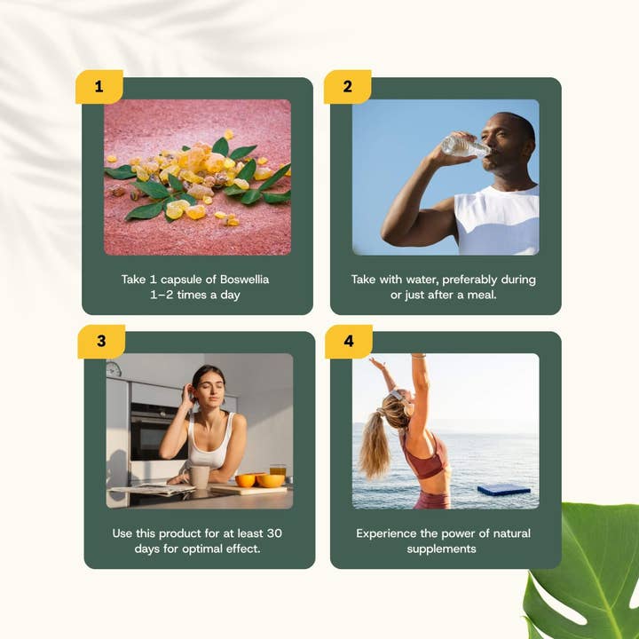 Cupplement b.v. – wholesale Oral supplement/vitamin – Boswellia Extract Capsules 500 mg 60 Capsules8