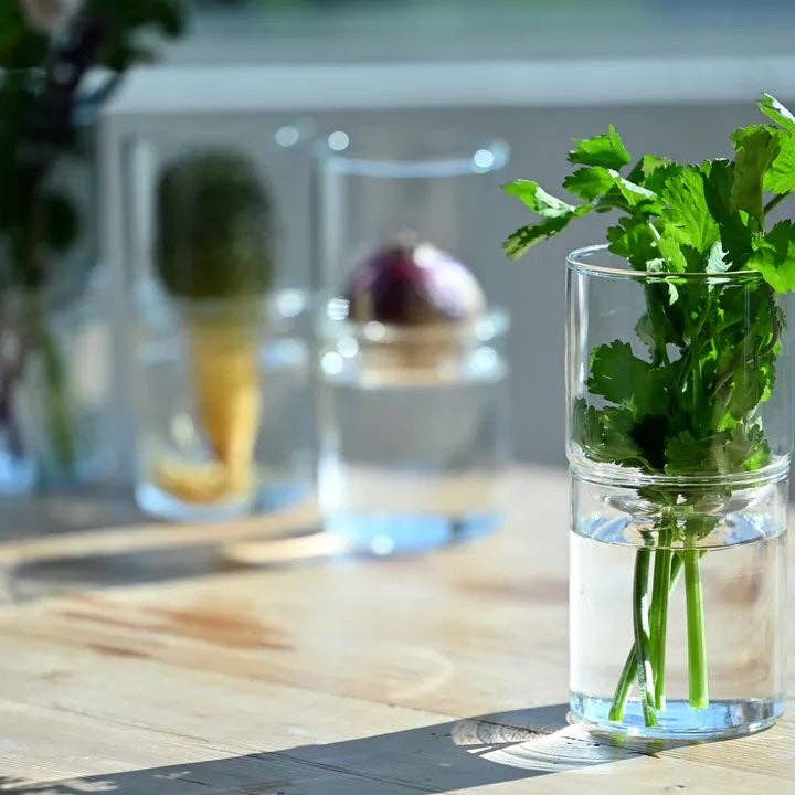 HARIO USA - Wholesale Vase - Glass Flower Vase12