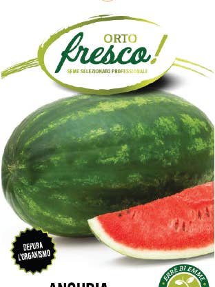 Long Watermelon Classic Sweet for wholesale by Sementi & Barbatelle