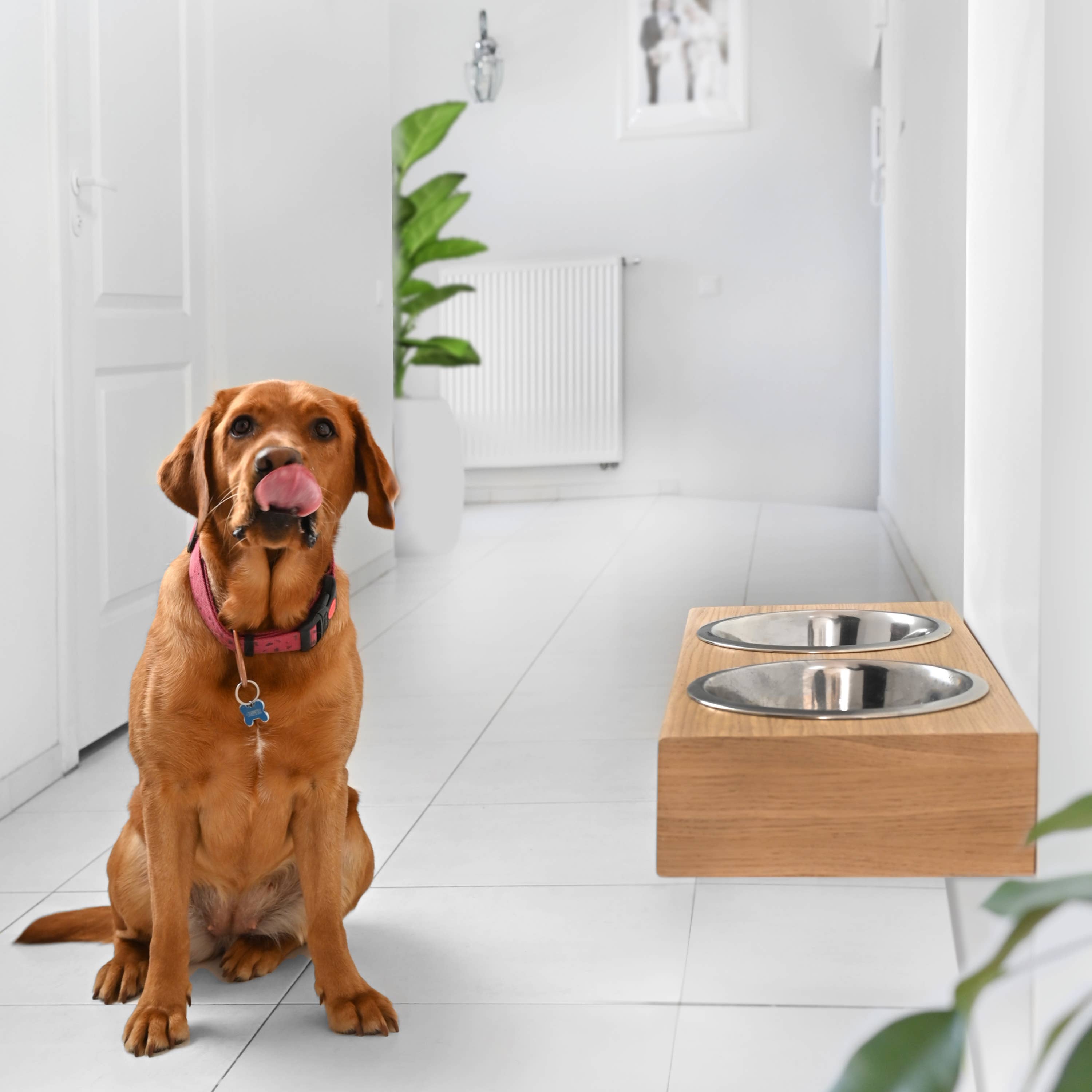 ValiaiDesign – Engroshandel Madskål - Kat/hund – Hængende træ hund feeder, Monteret pet fodring station