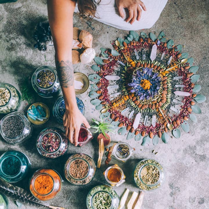 Anima Mundi Apothecary - Wholesale Book - Adult - ADAPTOGENS Book | Ritual Wellness | written by our founder,