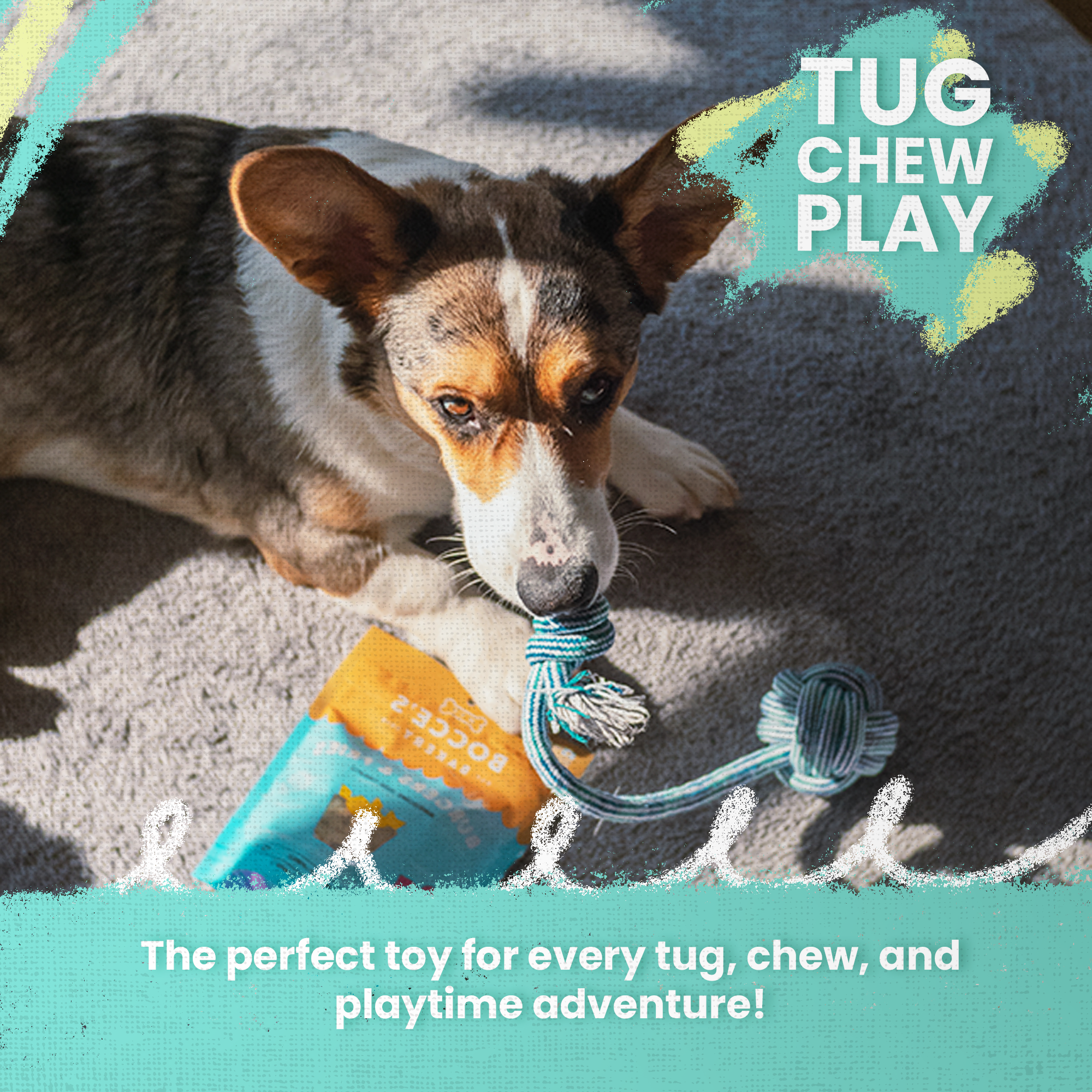 SnugArooz - Wholesale Pet Rope Toy - Dog - Spikey Beast Rope6