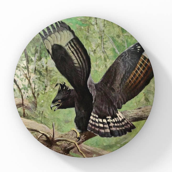 Long Crested Eagle Pin, Eagle Keychain, Eagle Magnet for wholesale by NatureCuts