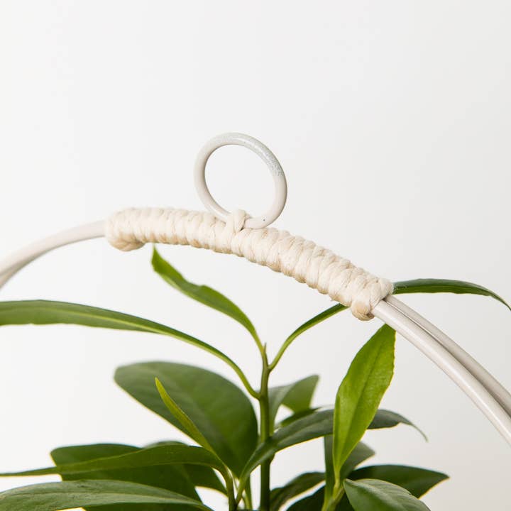 Braid & Wood Design Studio - Venta al por mayor Macetas colgantes - Macetero Colgante Blanco, Colgador de Plantas Moderno (Mediano)