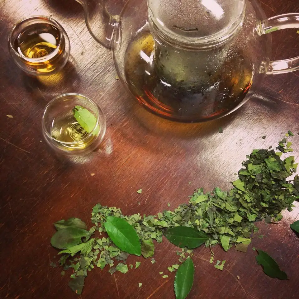 Yaupon Brothers American Tea Co. - Wholesale Loose Tea - American Green Loose Leaf Yaupon Holly1