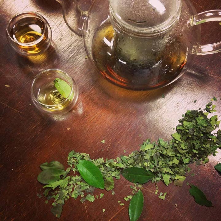 Yaupon Brothers American Tea Co. - Wholesale Loose Tea - American Green Loose Leaf Yaupon Holly1