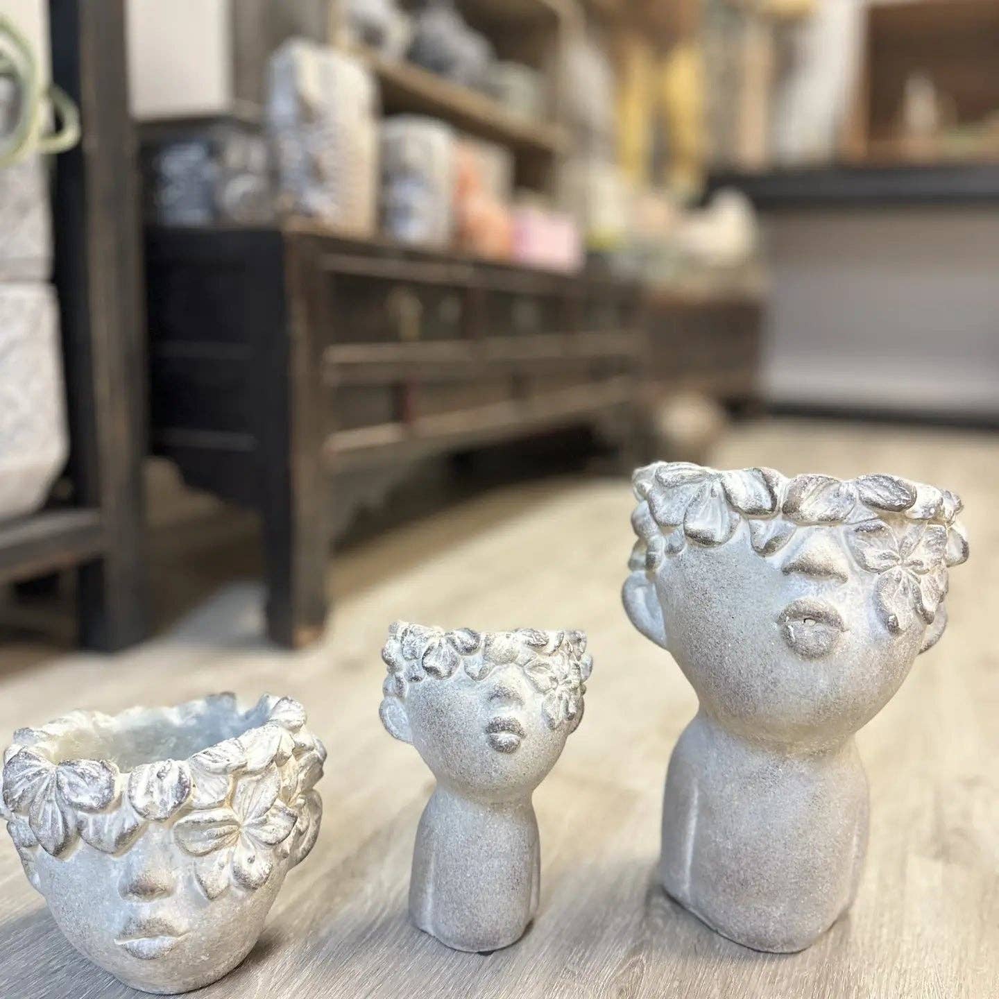 Mothology Home - Vendita all'ingrosso Vasi per piante - CE-TESTAPIANTE-S2