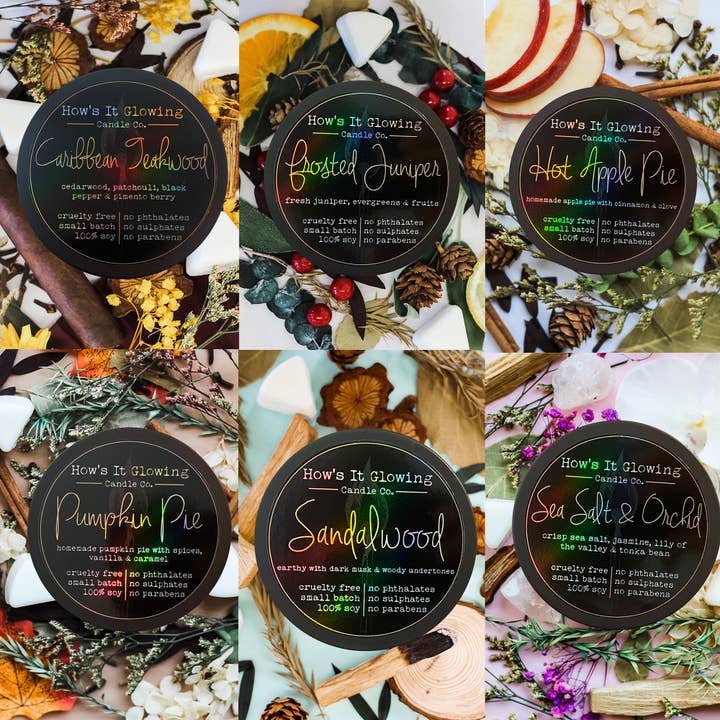 How's It Glowing Candle Co. - Wholesale Travel Candles - Please Don't Do Coke In Our Bathroom | Funny Soy Candle