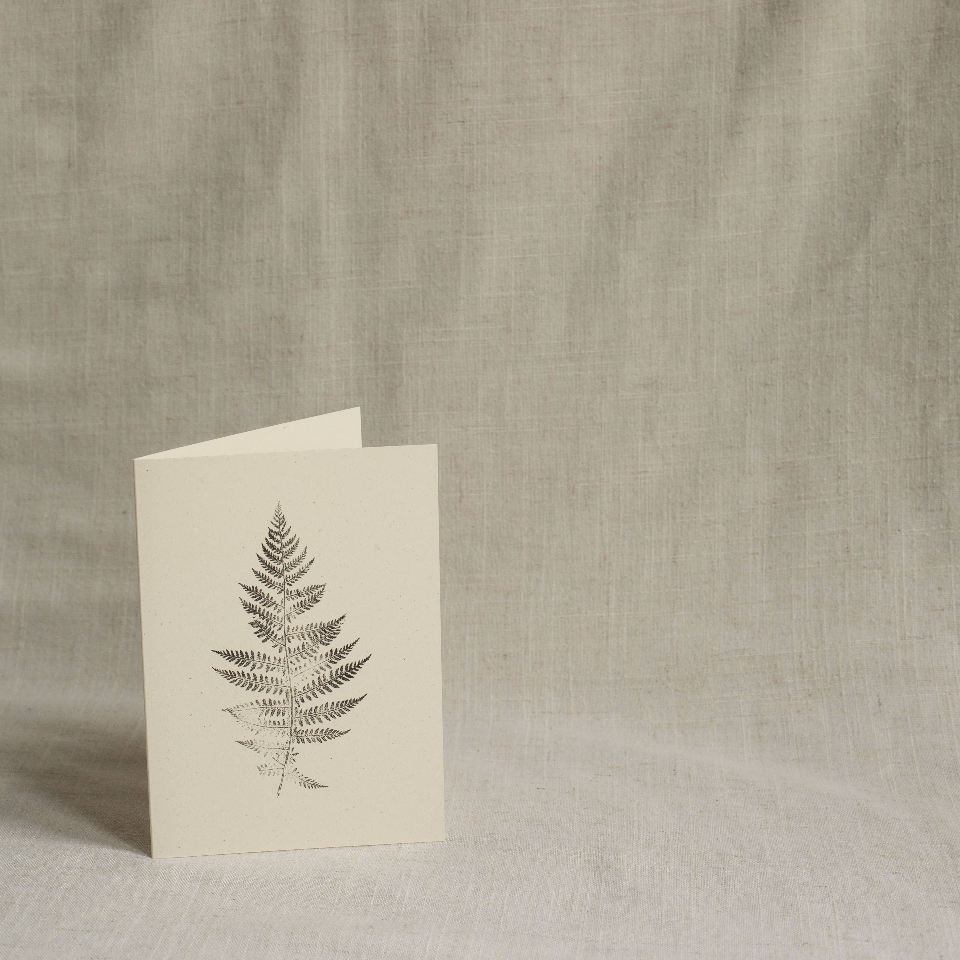 Alicia Breakspear - Wholesale Everyday Greeting Card - Lady Fern Print Greeting Card A6 Recycled Card 3