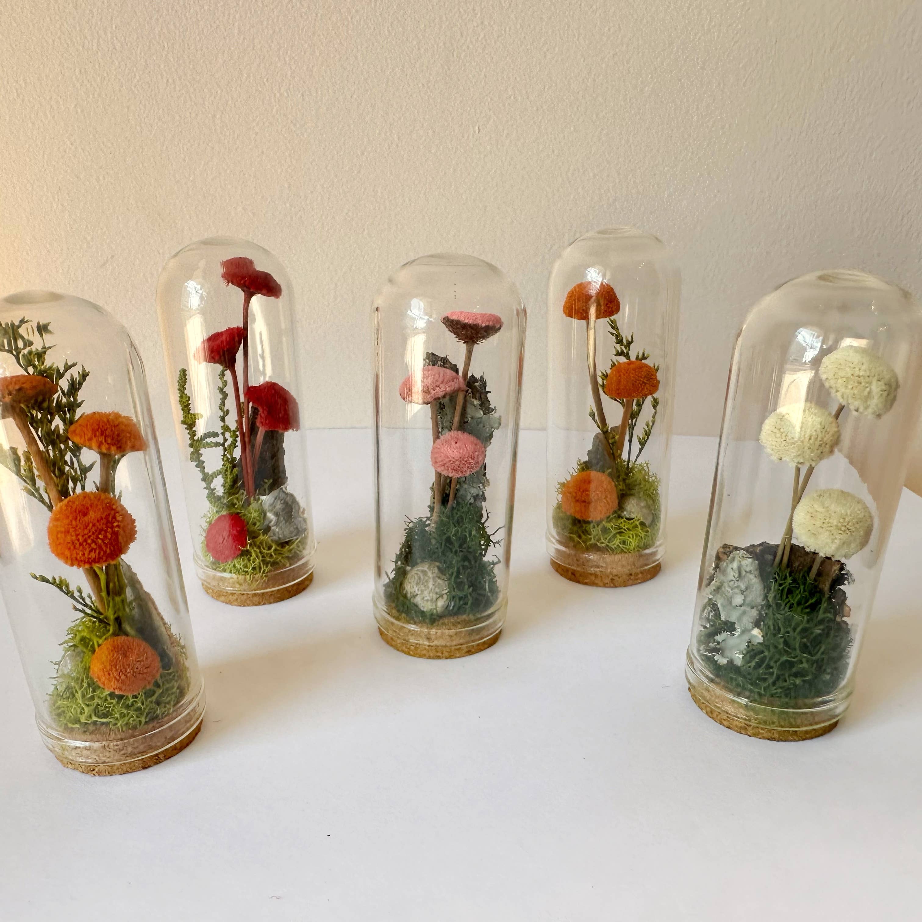 CA Studios - Wholesale Terrarium - Mushroom Mix Terrarium Glass Cloche Cork Jar & Florals1