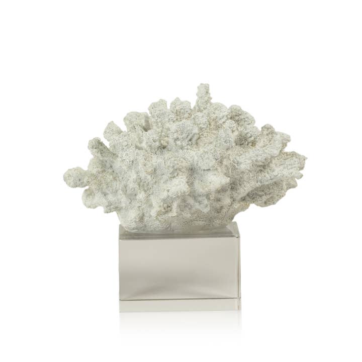 Zodax - Wholesale Decorative Tabletop Object - White Coral on Acrylic Base1