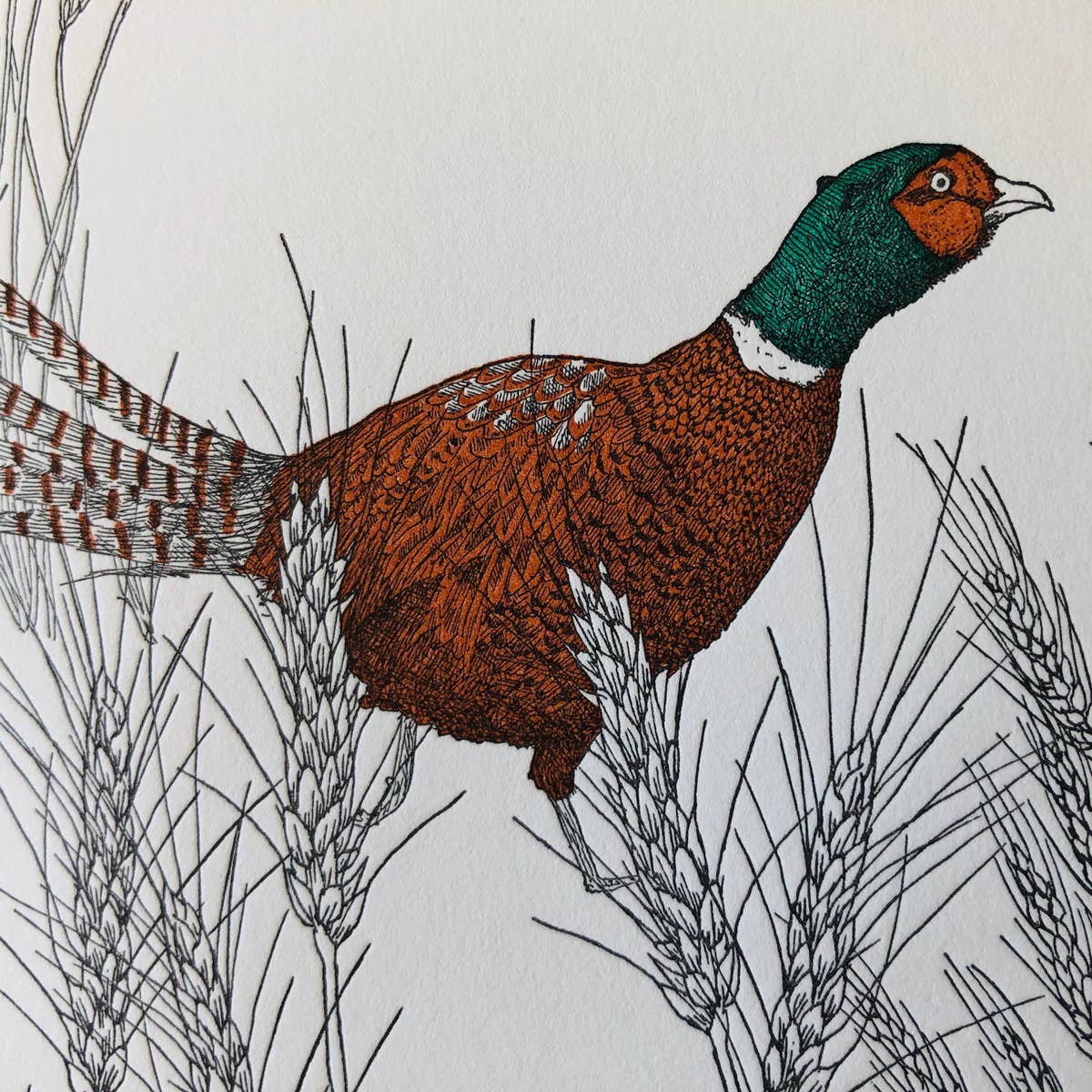 Painted Tongue Press - Wholesale Birthday Card - Wheat Birthday and Blank Note Card2