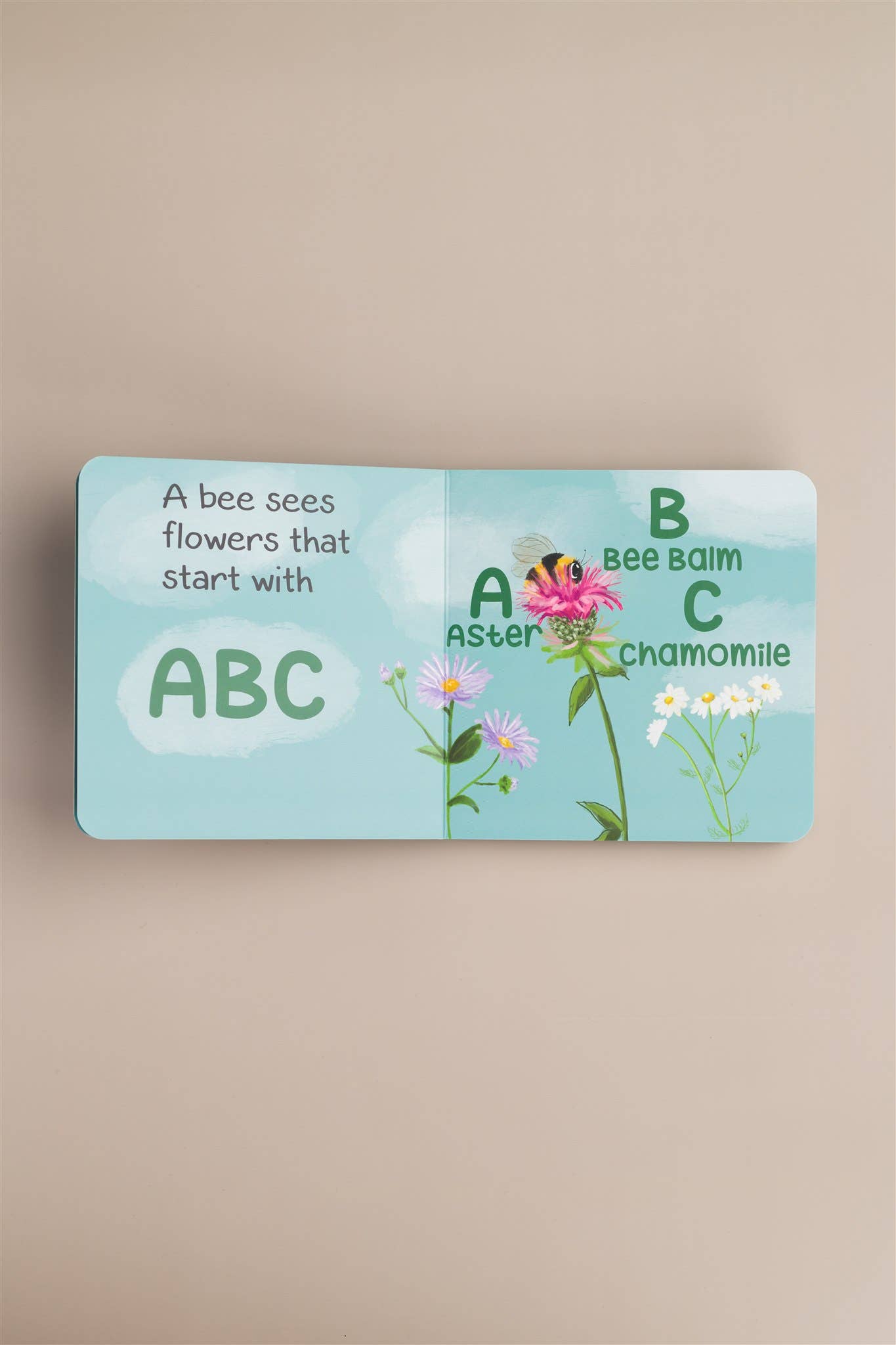 Rebecca Jimenez - Wholesale Preschool Book (3-5) - A Bee Sees the ABC's Hardback Children's book7