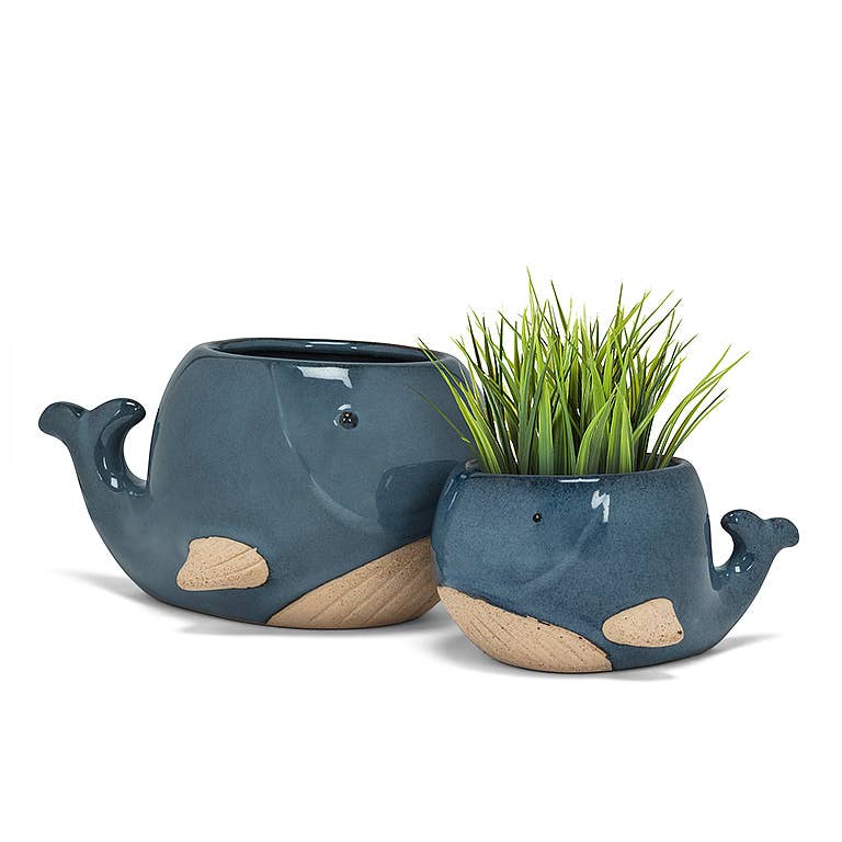 Abbott – Engroshandel Plantekrukke – Sm Blåhval Planter-2" H4