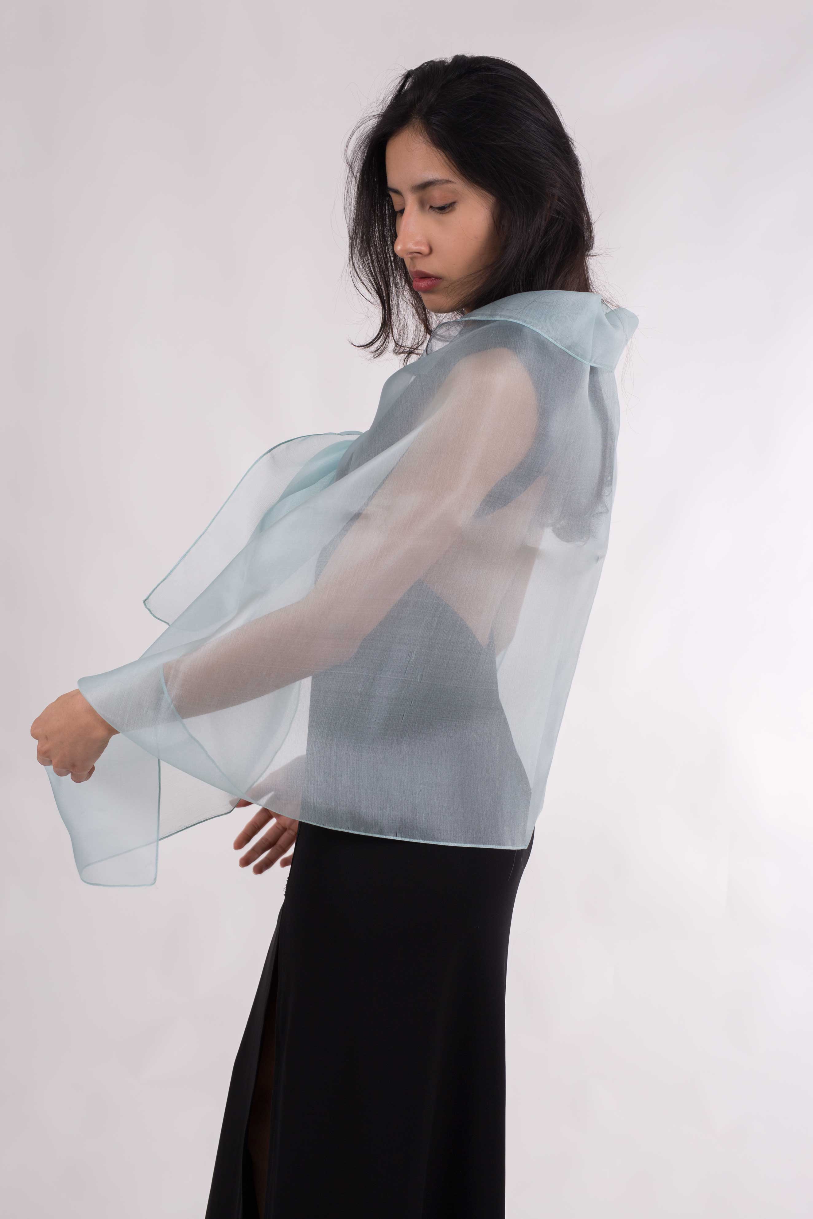 MR Complements - Venta al por mayor Chal - Mujer - Chal de Organza Seda Natural18