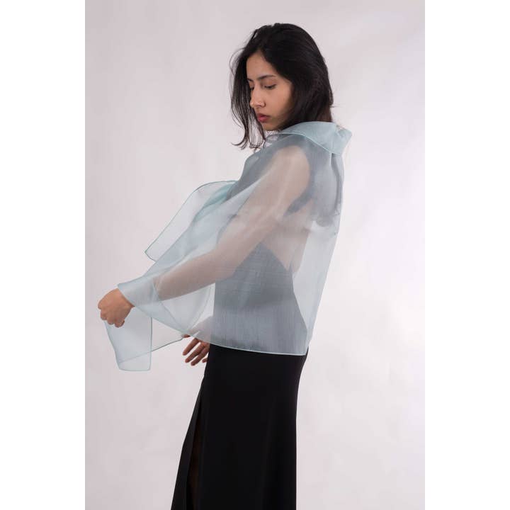 MR Complements - Venta al por mayor Chal - Mujer - Chal de Organza Seda Natural18