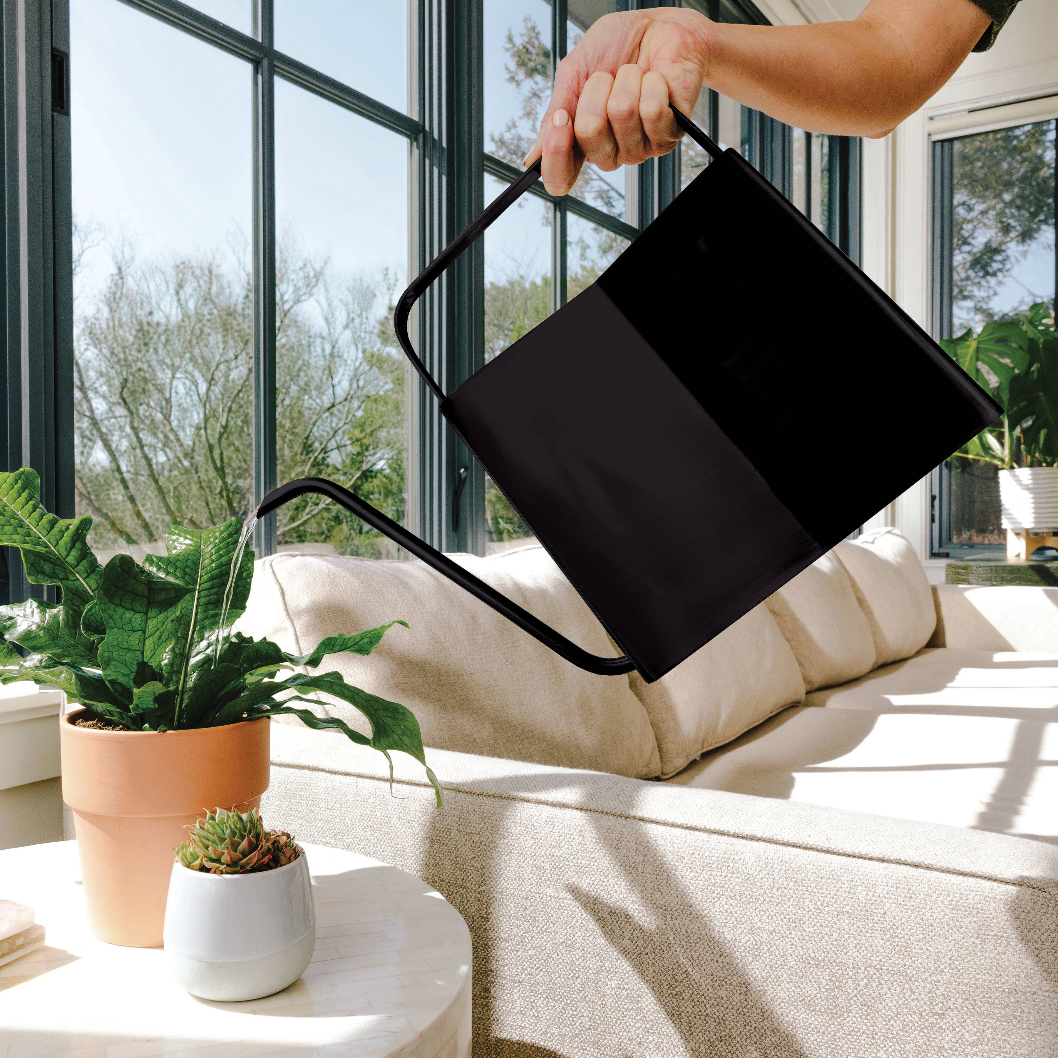 Modern Sprout - Wholesale Watering Can - Modern Watering Can7