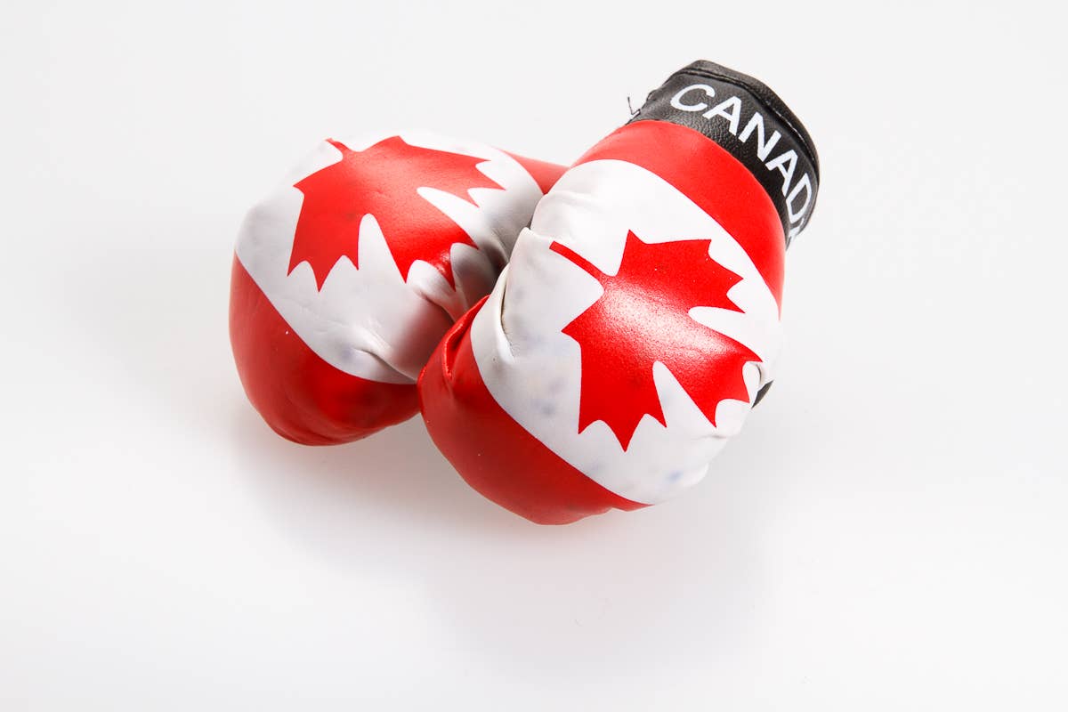 Flag Matrix Inc - Wholesale Sporting Accessories - International Boxing Gloves5