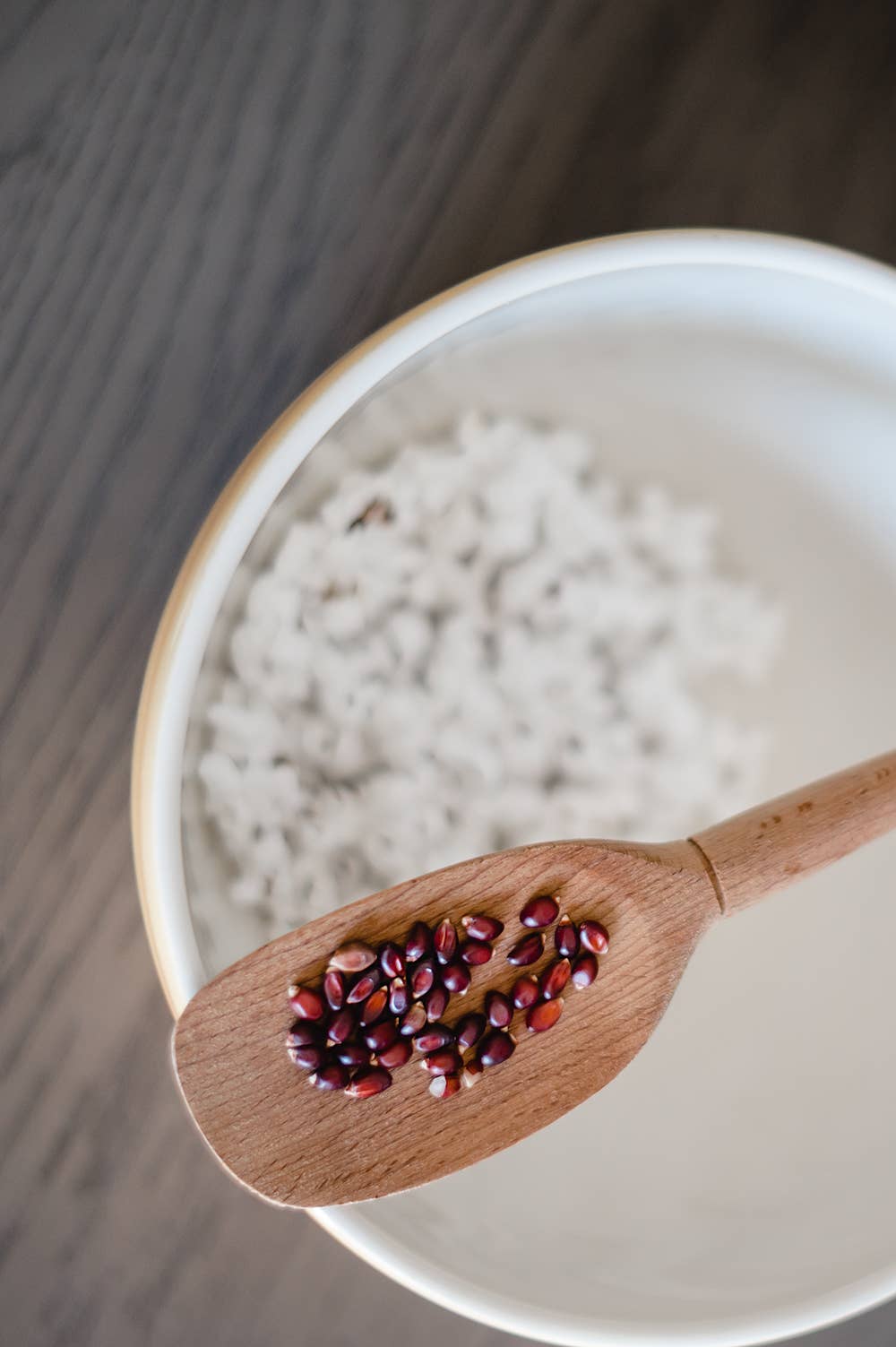 Amish Country Popcorn - Wholesale Popcorn - 4oz Bag of Red Popcorn3