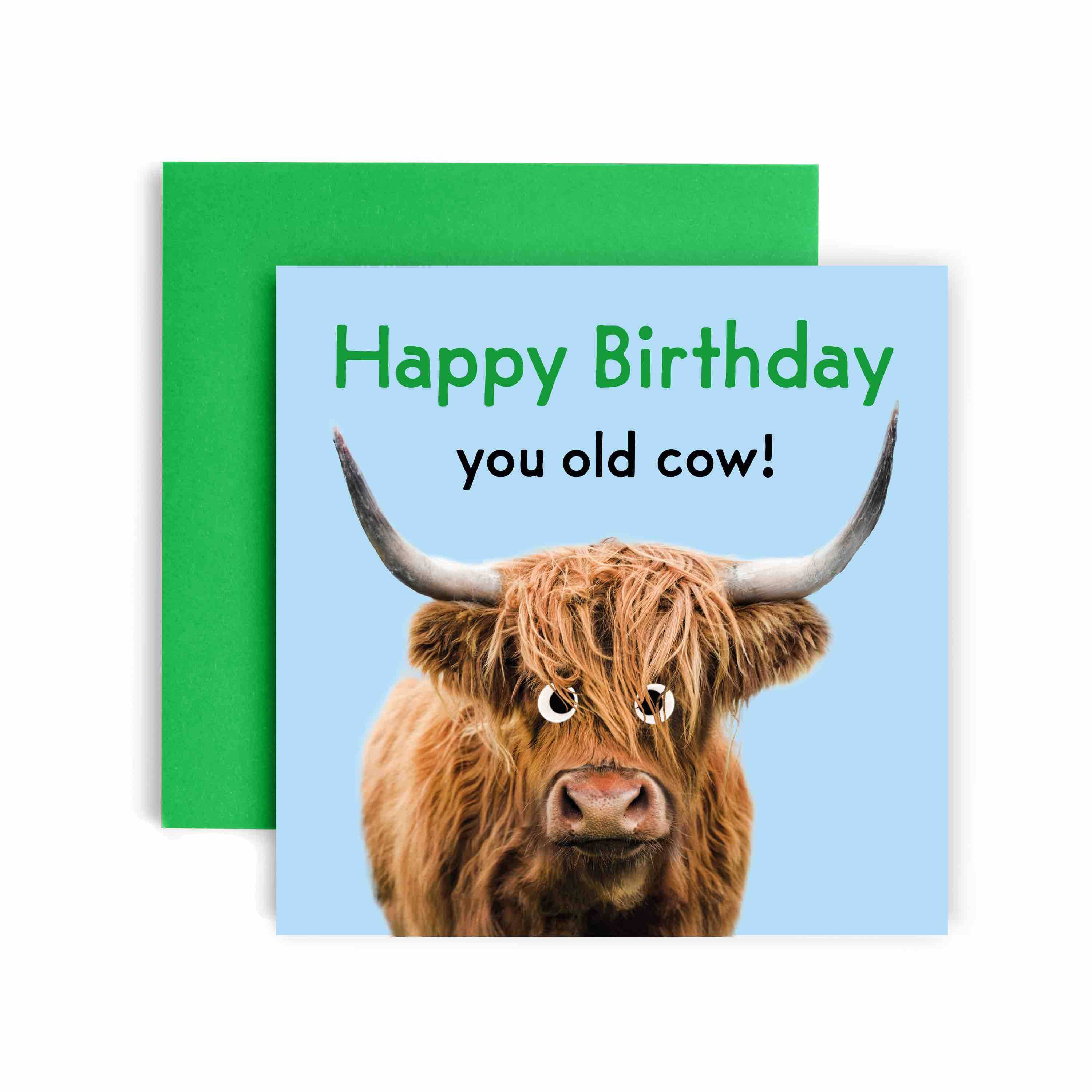 Huxters – wholesale Birthday card – You Old Cow - Happy Birthday Card0
