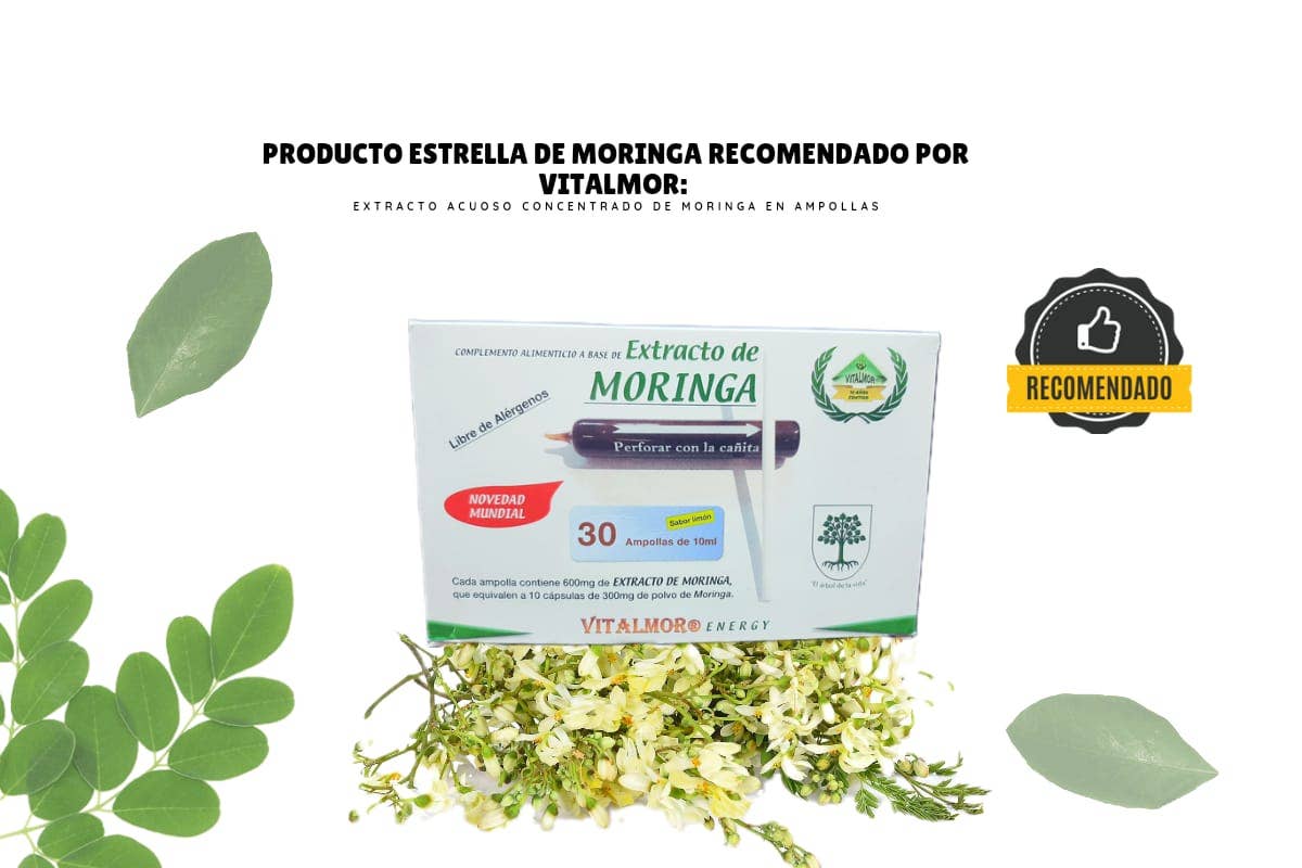 VITALMOR - Venta al por mayor Suplementos/vitaminas para beber - Ampollas de Moringa5