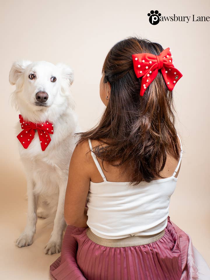 Noeuds assortis pour propriétaire et animal - Sucre et Perles - Rouge pour la vente par Pawsbury Lane