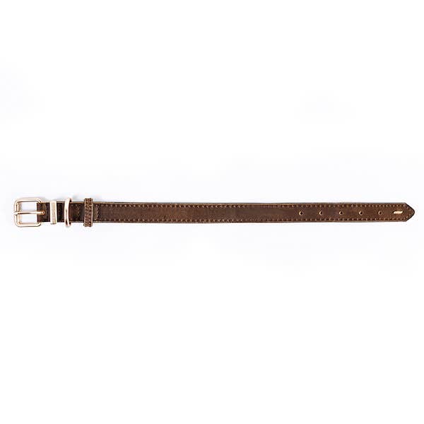 EzyDog - Wholesale Pet Collar - Dog - Ezydog Oxford Leather Collar