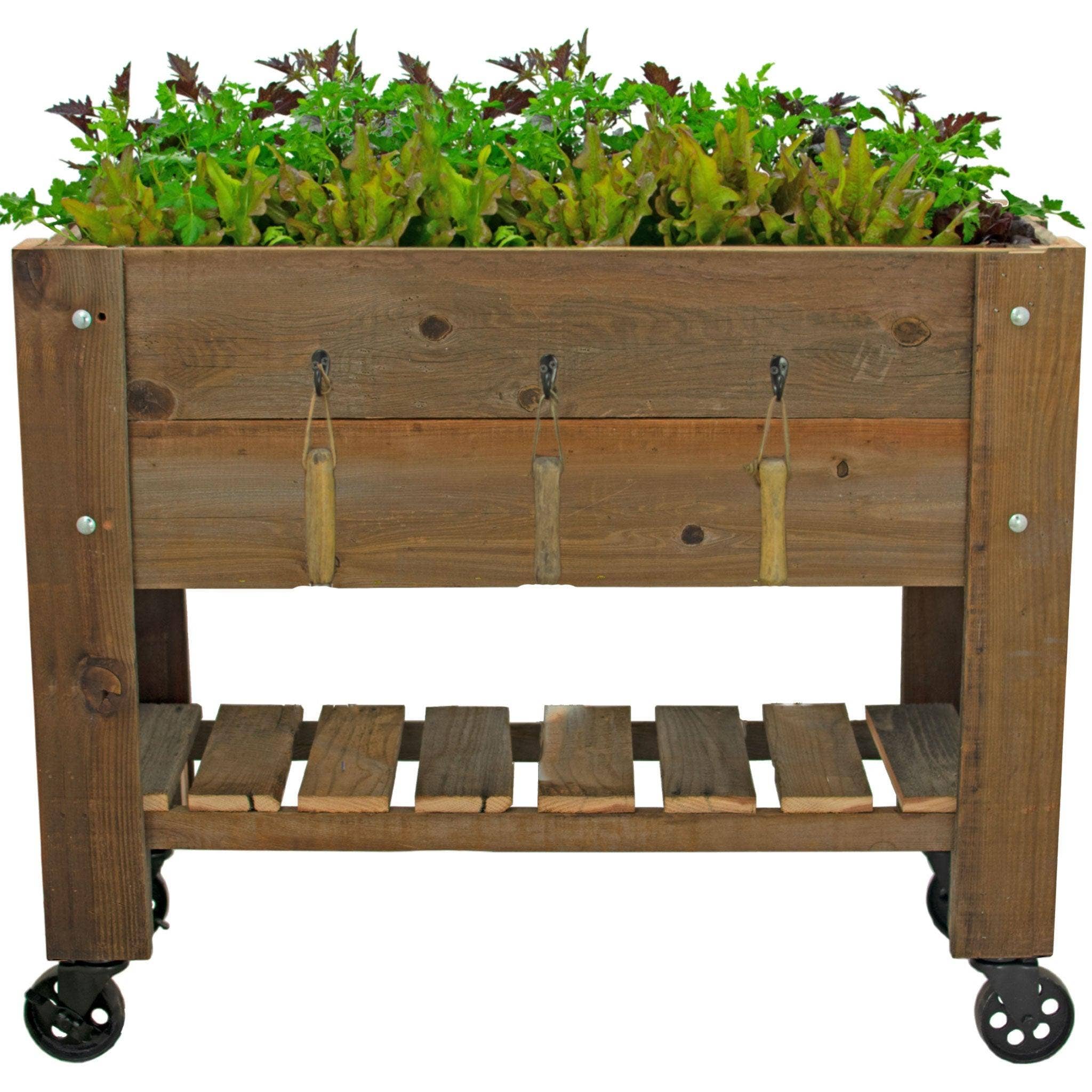 Lee Display – wholesale Planter box – Raised Bed Planter Box on Casters10