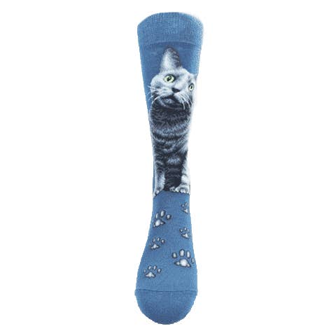 Gatti - Blu Russo Taglia Donna per la vendita all'ingrosso da parte di JHJ International Company Limited