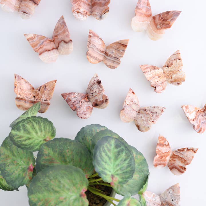 One Crazy Lace Agate Butterfly for wholesale by Mi Esperanza Minerals