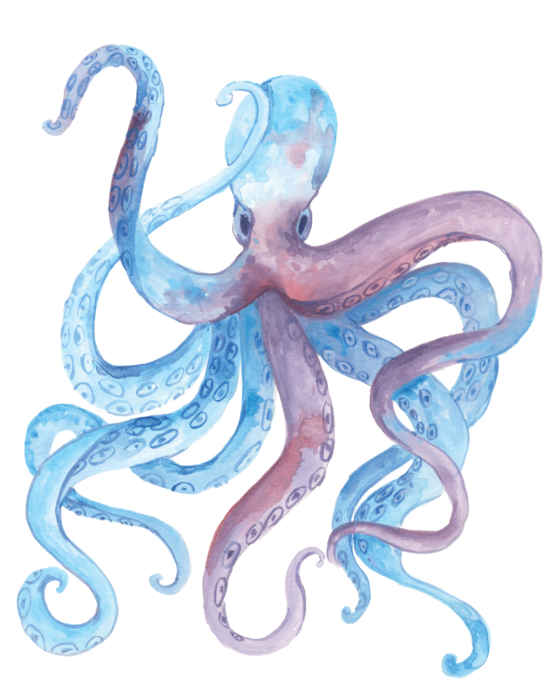 Jessica Frasz Studio – Engroshandel Fødselsdagskort – Blæksprutte fødselsdag lykønskningskort2