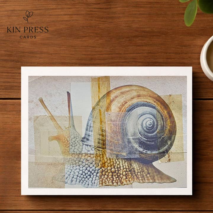 Snail Greetings Card, Pack Of 10 for wholesale by Kin Press Cards