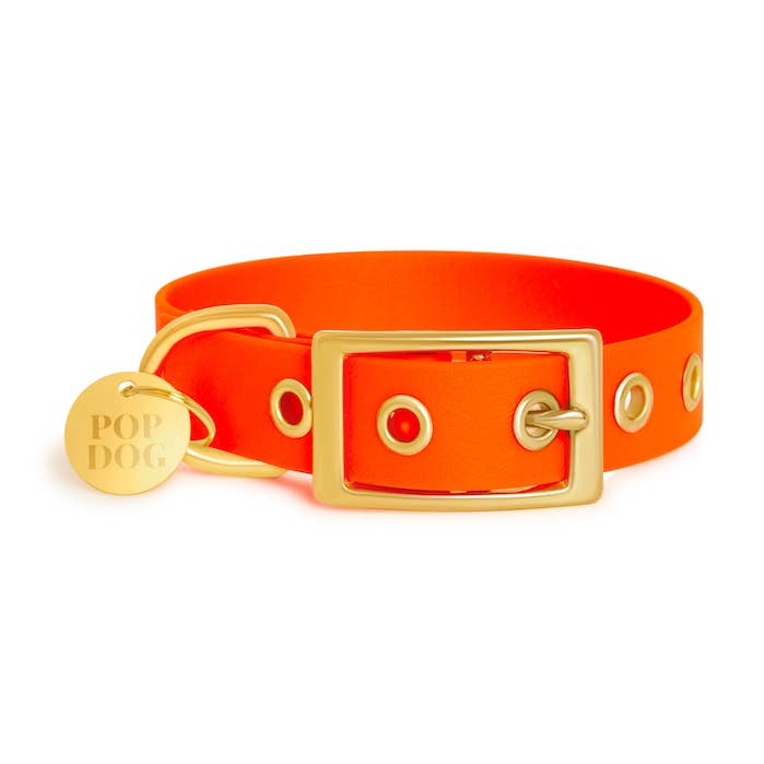 Le collier à œillets FOUFOU 🔥 pour la vente par Pop Dog