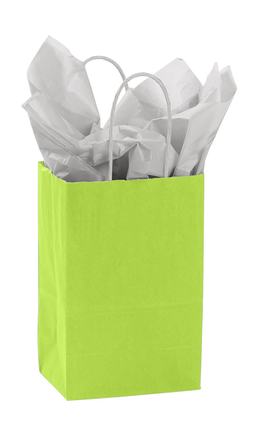 Store Supply Warehouse - Wholesale Gift Bag - Colorful Kraft Paper Shopping Bags11